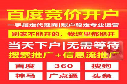 SEM主管实战技巧：案例分享与解读